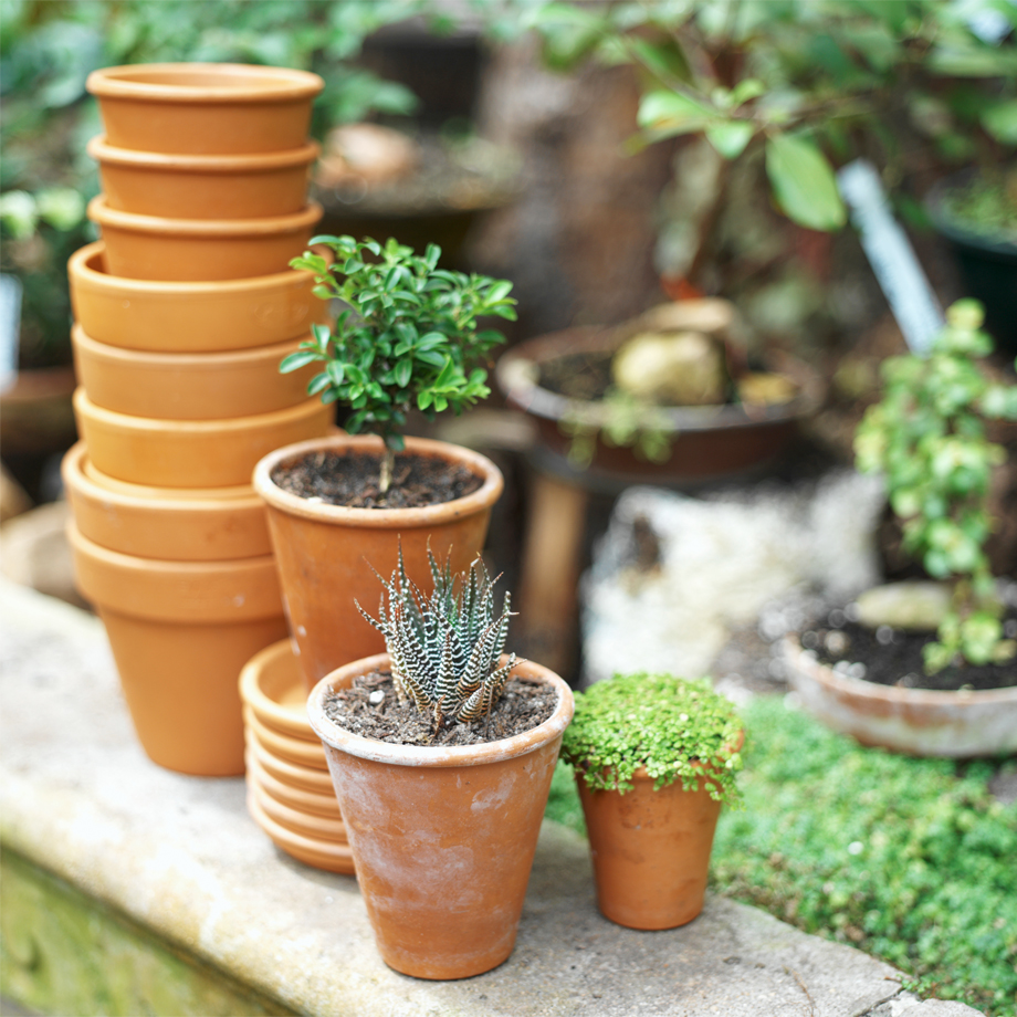 Cloche Pot - Rugby Stripe Glaze