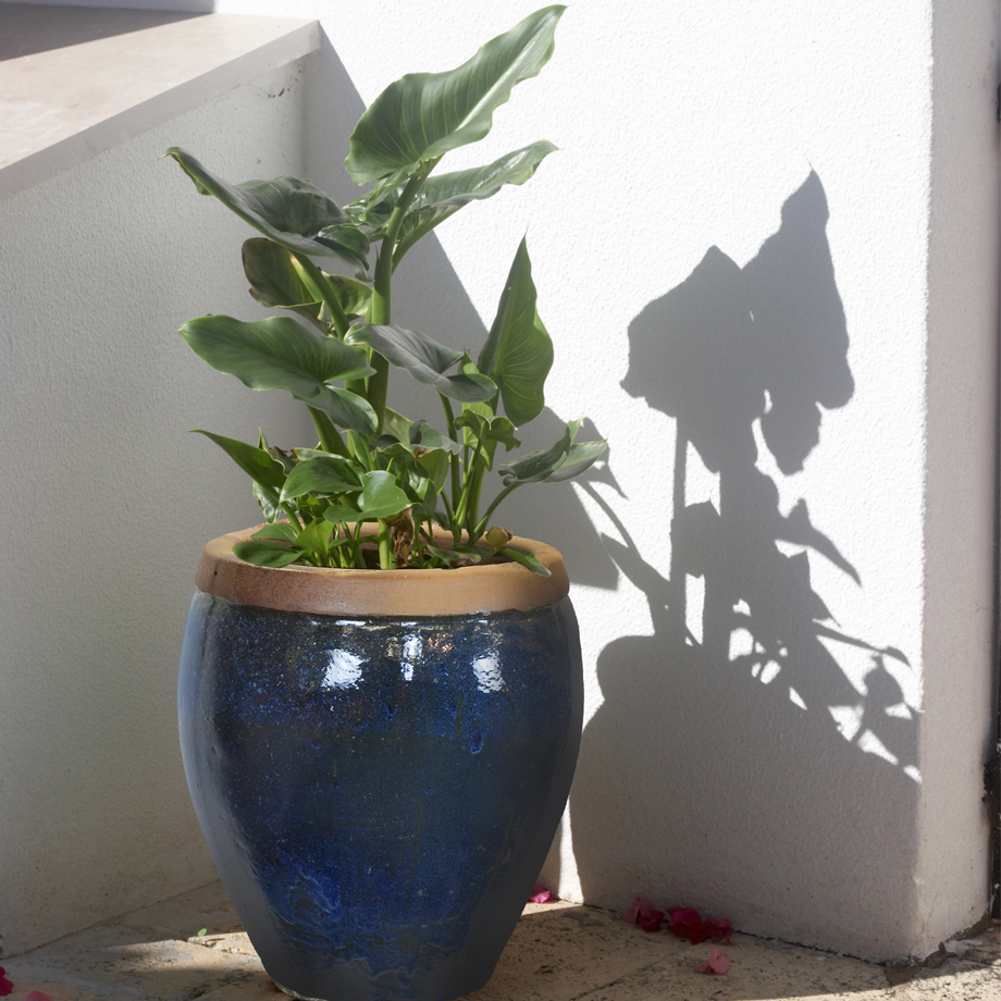 Cloche Pot - Rugby Stripe Glaze